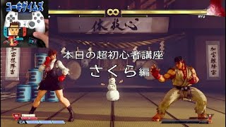 超初心者講座　さくら編【SFVAE】