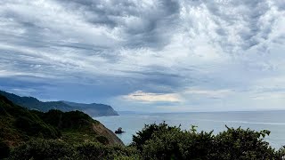 Sanctuary Forest Virtual Hike: Beauty of the Lost Coast - Needle Rock to Bear Harbor