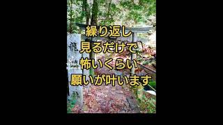 もし表示されたらすぐ再生して下さい!!今後を大きく運命好転します。 #スピリチュアル #波動 #tiktok #shorts #浄化 #開運 #引き寄せ #dragon #龍神