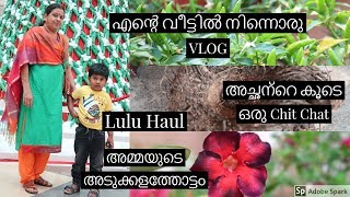 എൻ്റെ വീട്ടിൽ നിന്നൊരു VLOG I അമ്മയുടെ അടുക്കളത്തോട്ടം I #ASHVlogs