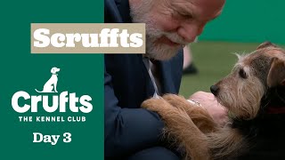Scruffts Semi Finals - Part two | Crufts 2025