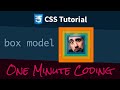 CSS Box Model - One Minute Coding