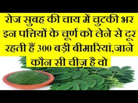 Shajan are good for your health | Benefits Of Drumsticks | Drumstick flower Benefits Shajan are good for your health | Benefits Of Drumsticks | Drumstick flower Benefits