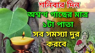 শনিবার এই একটা কাজ অবশ্যই করুন, সকল সমস্যা দূর হবে 🙏