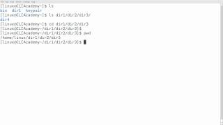CLI Academy: Linux "cd" command