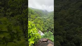 Jungle of Pachmarhi, Madhya Pradesh