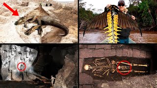 Most Bizarre Discoveries That Baffled Scientists! | ORIGINS EXPLAINED COMPILATION 25