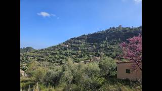 Back In Deia