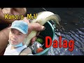 JACKPOT!! | Electric  Fishing | Kanorio M.V