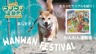 楽しすぎるペットイベント！わんわん運動会初参戦！サンプル紹介も！