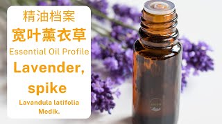 宽叶薰衣草精油 | Lavender, spike Essential Oil | Lavandula latifolia Medik.