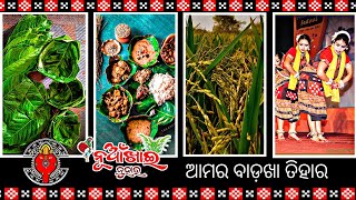 Nuakhai status 2022 | ପଶ୍ଚିମ ଓଡ଼ିଶାର ବଡ଼ ତିହାର୍ nuakhai juhar hd status 🙏🌾🌾🌾