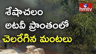 శేషాచలం అటవీ ప్రాంతంలో చెలరేగిన మంటలు | Tirumala | hmtv News