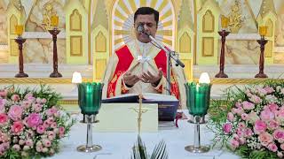 Holy  Mass December 16  Saturday  I  5.30 AM I Malayalam I Syro Malabar I Fr Bineesh Augustine