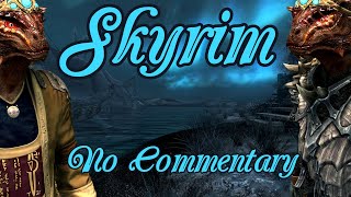 Skyrim (Part 271)