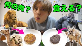 色んな動物の肉でハンバーグ作って食わせたら...