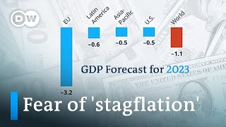 What happens when prices grow and the economy stagnates? | DW News