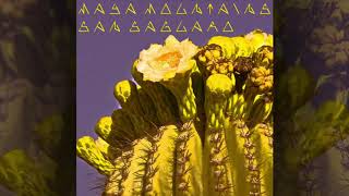 MAYA MOUNTAINS - San Saguaro (Official Audio)