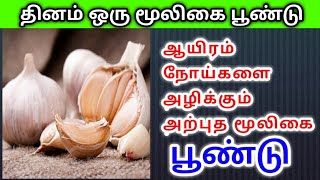 தினம் ஒரு மூலிகை பூண்டு ஆயிரம் நோய்களை அழிக்கும் அற்புத மூலிகை பூண்டு | garlic |