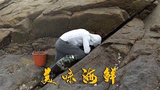 阿烽赶海勾青蟹撞大运，连连抓到5只大青蟹，回家煮海鲜粥吃