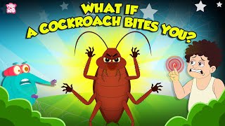 Deadliest Shark Mystery Why No Aquarium Has A Great White Shark