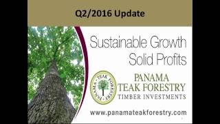 Panama Teak Forestry News