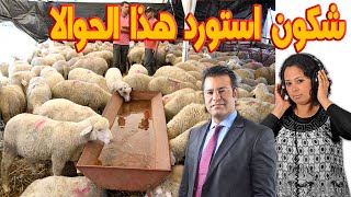 الاكباش او الحولي ديال العيد شكون استورد هذا الحوالا وش فلاح ولا واحد عندو الزرقة  كاين الحل