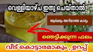 വെള്ളിയാഴ്ച ഇതു ചെയ്താൽ സ്വർണ്ണ കുമ്പാരത്തിന് പകരം AstrologyMalayalam /Santhosh Vlogs