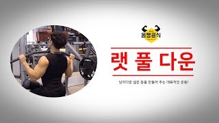 남자다운 넓은 등을 만들어주는 대표적인 등 운동! : 랫 풀 다운