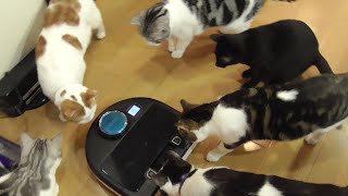 ロボット掃除機　【ねこ cat】