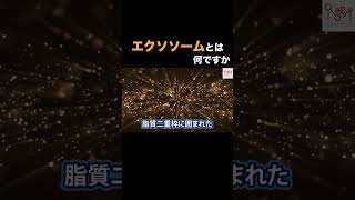 【再生医療×同時リハビリ™️】エクソソーム とは何ですか？Dr.貴宝院が解説します！