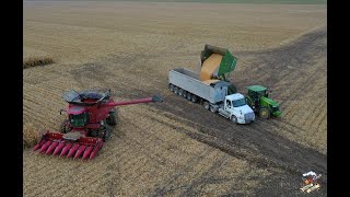 Corn Harvest near Croswell Michigan