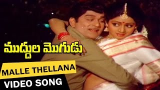 Malle Thellana Video Song || Muddula Mogudu Telugu Movie || ANR, Sridevi, Suhasini