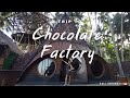 Trip to Bali chocolate factory | How is chocolate made? | Bali Indonesia