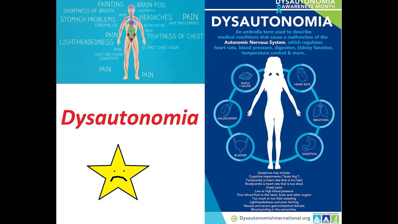 Neuroscience Of Dysautonomia (POTS Disease) - YouTube