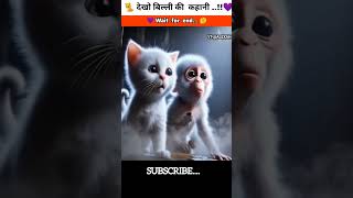 तीन दोस्त की Story..!! #Catsoftiktok#cat #cats#facts #funny#FunnyCats#catlover #cartoon#shorts#story