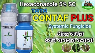 TATA Contaf Plus | Hexaconazole 5% SC Uses⚡ গোরাপচা খোলাধসা মুক্ত ধান জমি