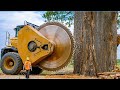 Extreme Dangerous Fastest Big Chainsaw Cutting Tree Machines | Monster Stump Removal Excavator #30