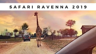 Safari Ravenna 2019