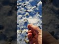 hoar frost or rime ice which is it nature explore travel asmr ice frozen