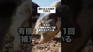 知ってますか？儲けるための土の条件TOP3_10