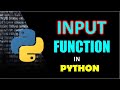 Input Function in Python 3 (I/O ) - With Examples