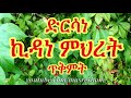 ድርሳነ ኪዳነ ምህረት ጥቅምት dirsane kidanemihret tikemit