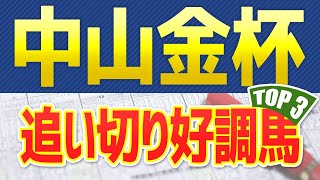 【中山金杯2022予想】追い切りが絶好調だった「トップ３」はこの馬だ🐴