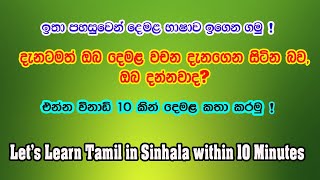 ඔබ දැනටමත් දැනගෙන සිටින දෙමළ වචන-1| learn tamil in sinhala with Tamilclass101