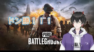 【新人VTuber】急遽ゲーム配信　PUBGソロドン勝したいn回目