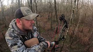 Louisiana public land bow hunting