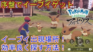 最序盤で捕獲可能！イーブイ出現場所＆効率の良い探し方を解説！【Pokémon LEGENDS アルセウス】