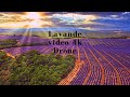 🌟 The Valensole plateau! French Riviera 🇫🇷 [4K UltraHD]