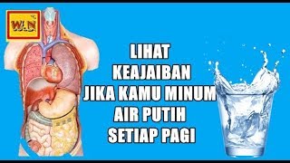 Inilah Hal Besar Yang Akan Terjadi Jika Kamu Minum Air Putih Setiap Bangun Tidur